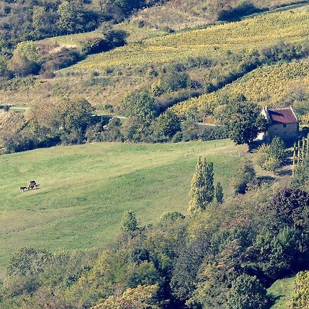 Les Billardes - Le Gite - Jura Gizia 外观 照片